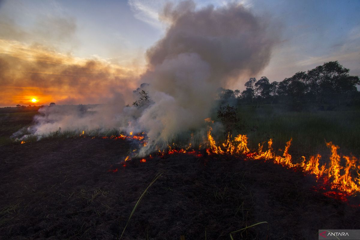 BPBD Kalsel tunggu modifikasi cuaca guna cegah karhutla