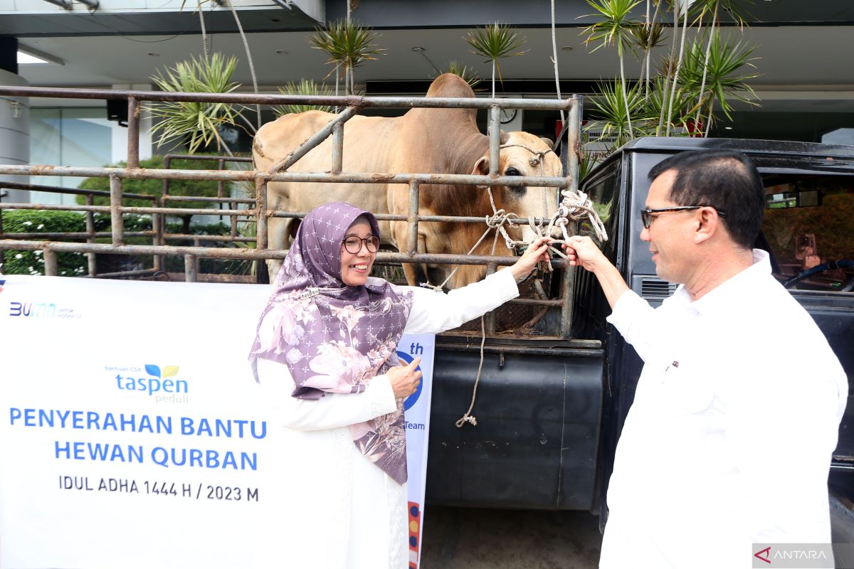 PT Taspen salurkan hewan kurban ke Pemko Banda Aceh