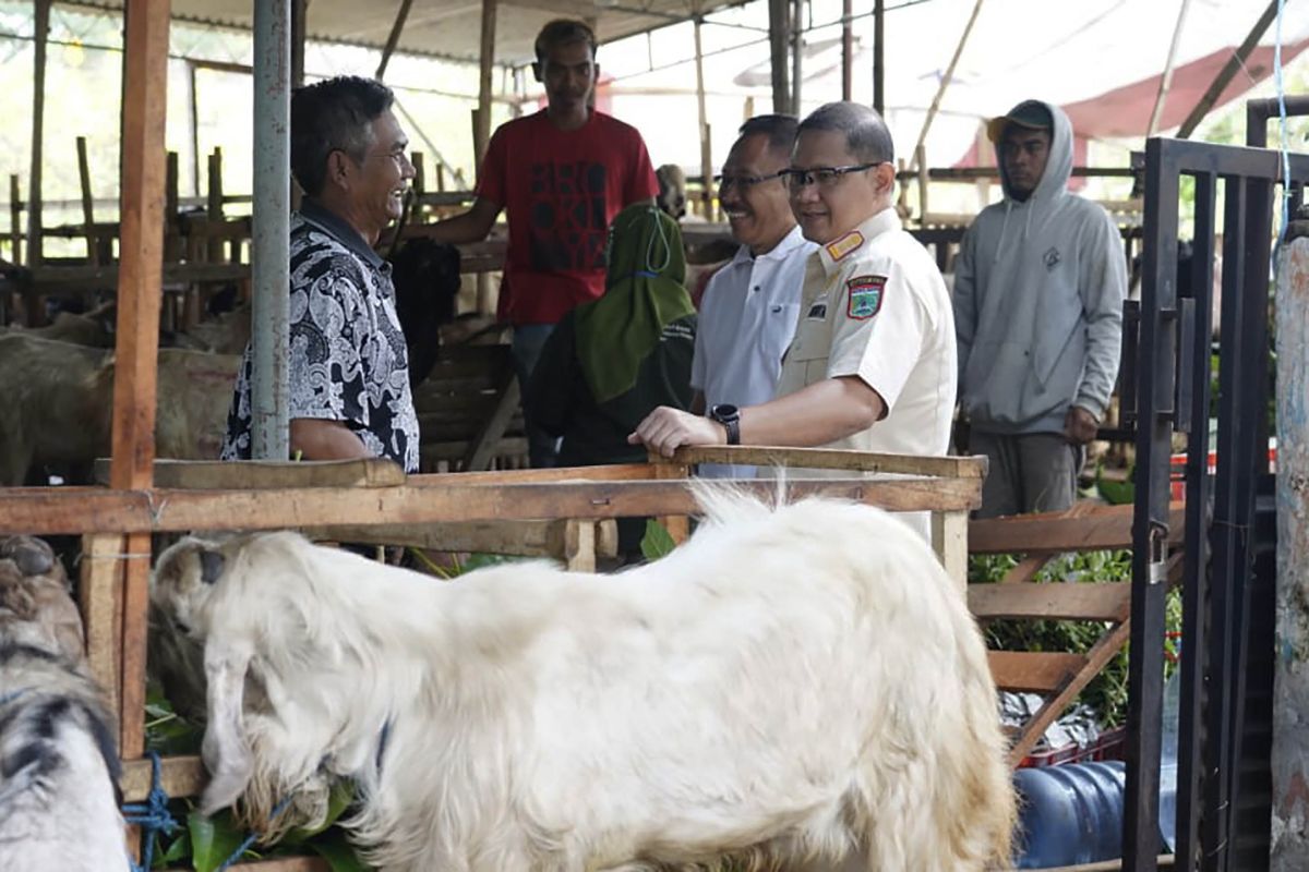 Pemkot Batu pastikan hewan kurban dalam keadaan sehat jelang Idul Adha