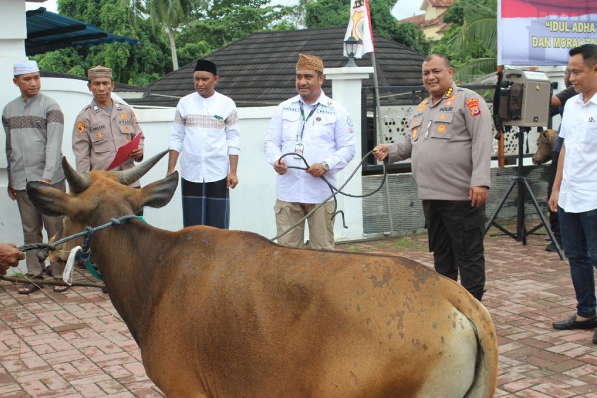 Polda Maluku dan jajaran serahkan 106 ekor hewan kurban kepada  warga