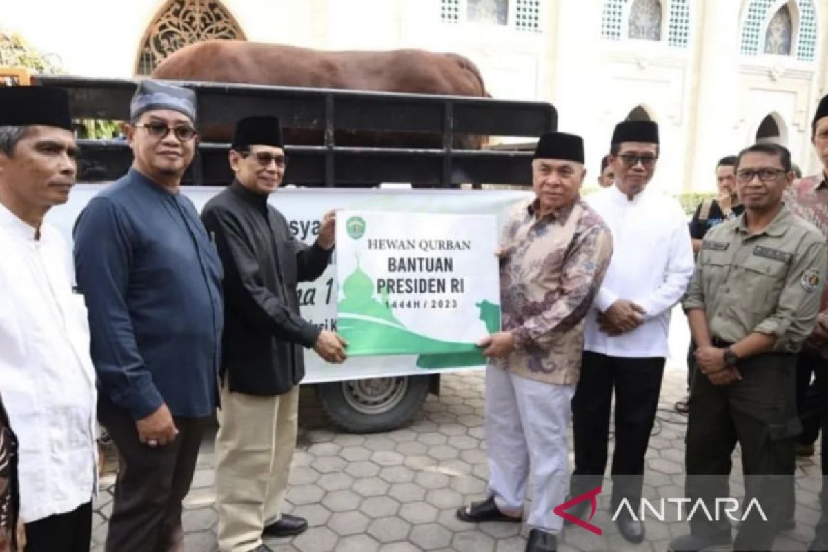 Gubernur Kaltim serahkan sapi bantuan Presiden RI  ke Mesjid Darussalam