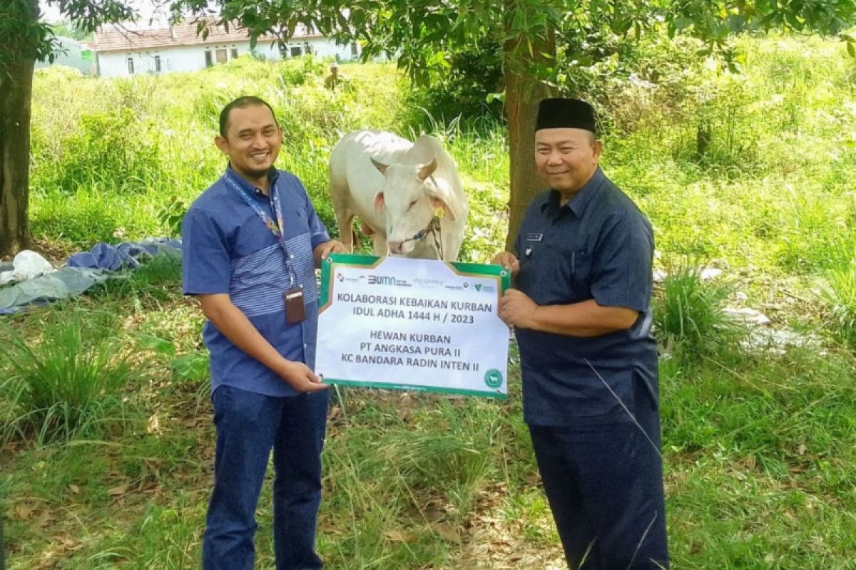 PT Angkasa Pura II Bandara Radin Inten II Lampung-Dompet Dhuafa salurkan hewan kurban di Branti