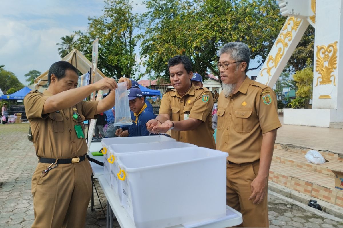 DKP2TPH Tabalong bangun usaha pembesaran ikan gabus