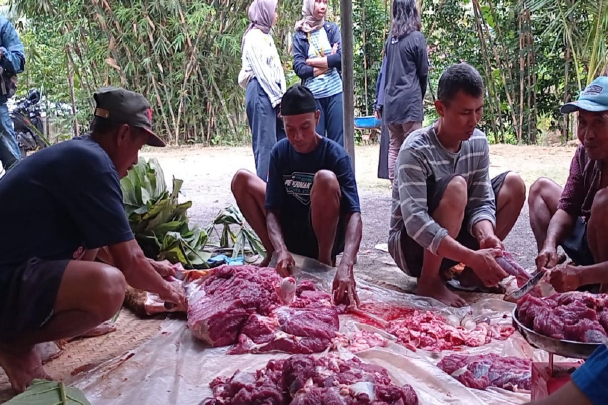 145 petugas di Gunungkidul dilibatkan pantau tempat penyembelihan hewan kurban