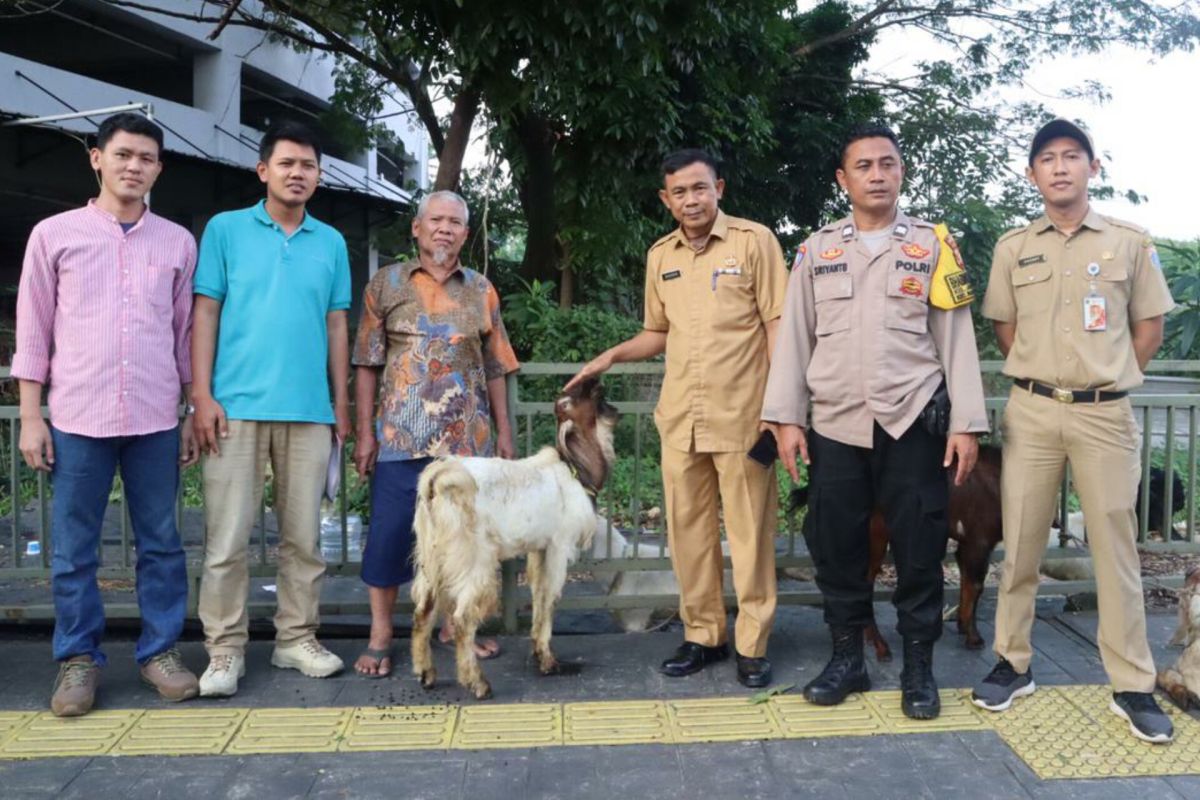 Pejaten Mall bagikan kambing kurban untuk warga peringati Idul Adha