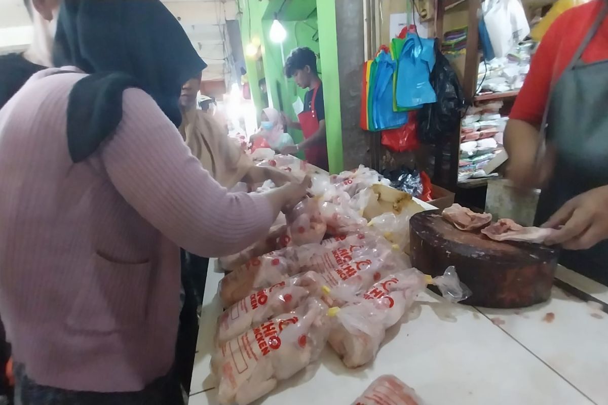 Harga ayam potong di Pasar Rakyat Ternate melonjak