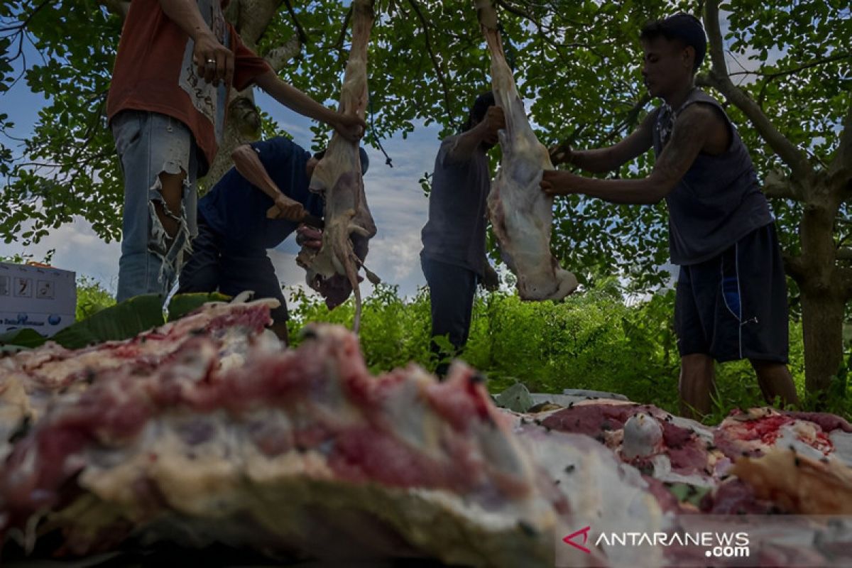 DLH: Penyaluran daging kurban di Palu jangan pakai kantong plastik