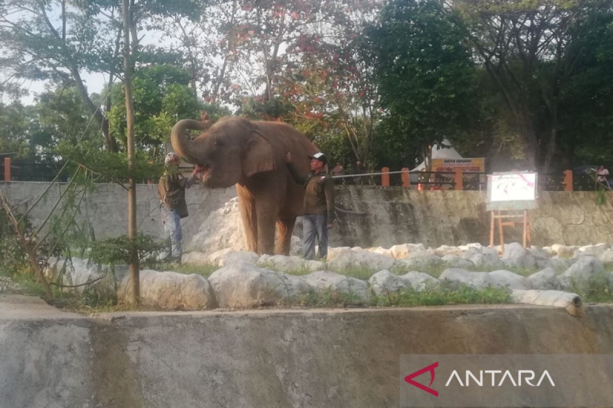 Semarang Zoo targetkan 4.500 pengunjung per hari selama long weekend