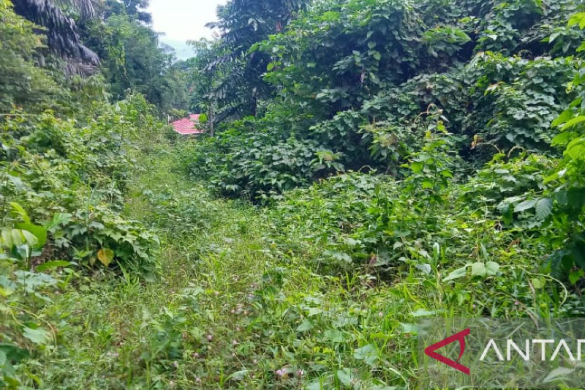 "RAKO" Sulut desak kejari percepat pendalaman dugaan korupsi menara pandang