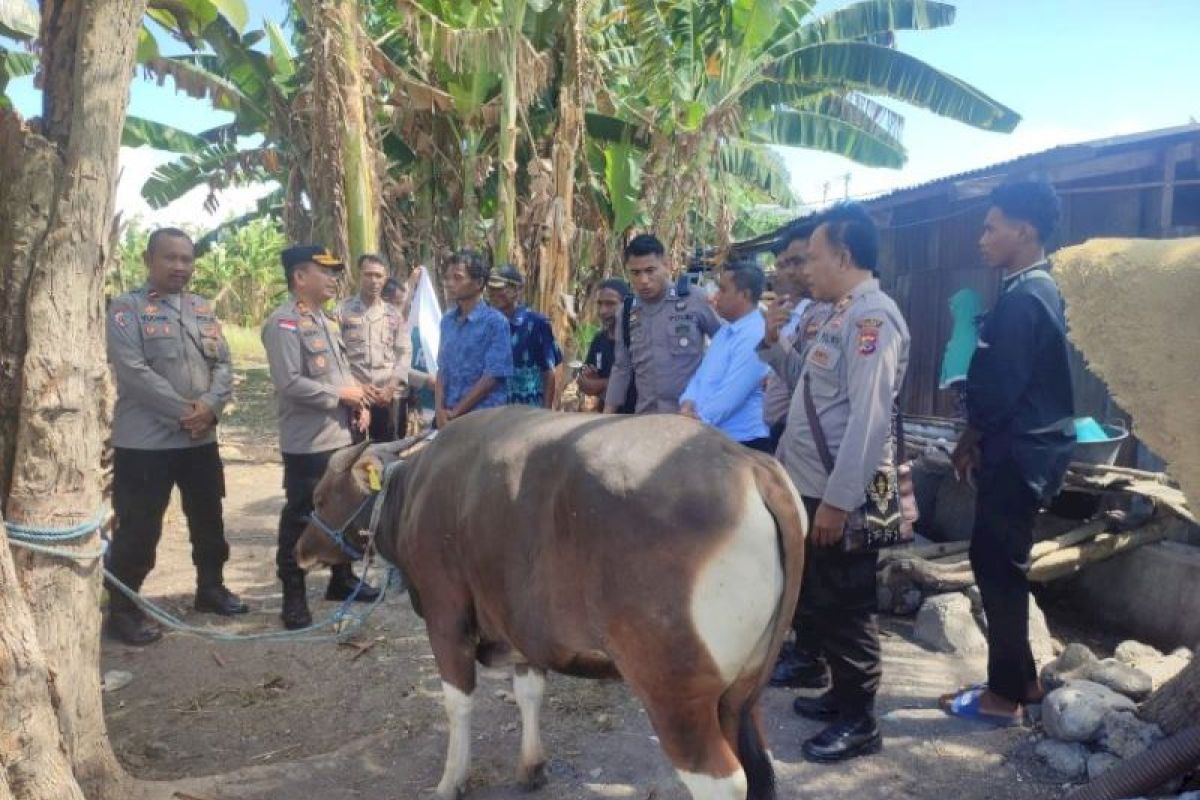 Kapolres Kupang serahkan bantuan hewan kurban Idul Adha