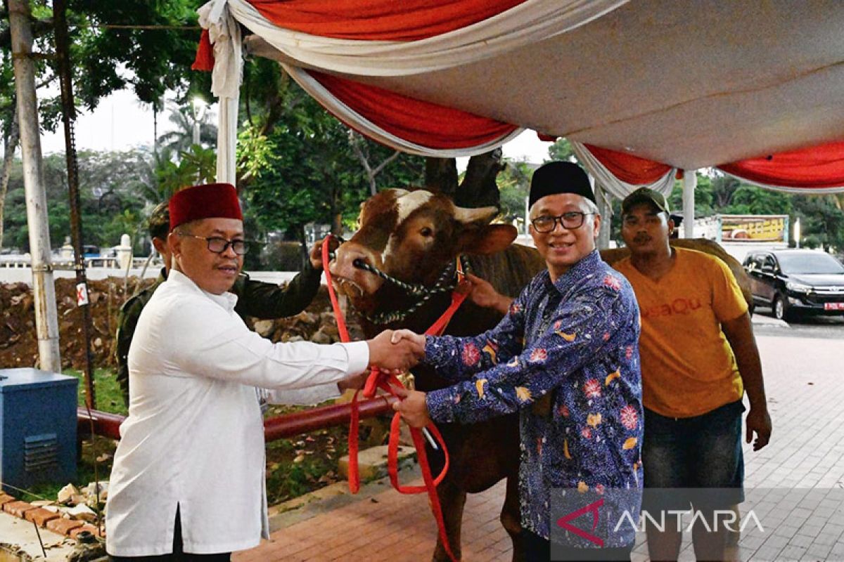 Wapres serahkan sapi kurban kepada panitia Idul Adha Masjid Istiqlal