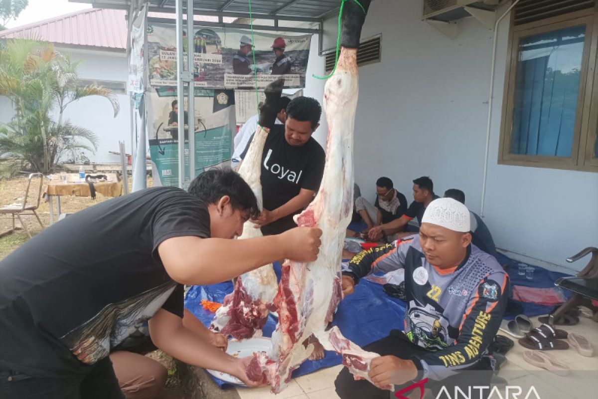 Masyarakat Toboali sekitar kantor PT Timah terima daging kurban