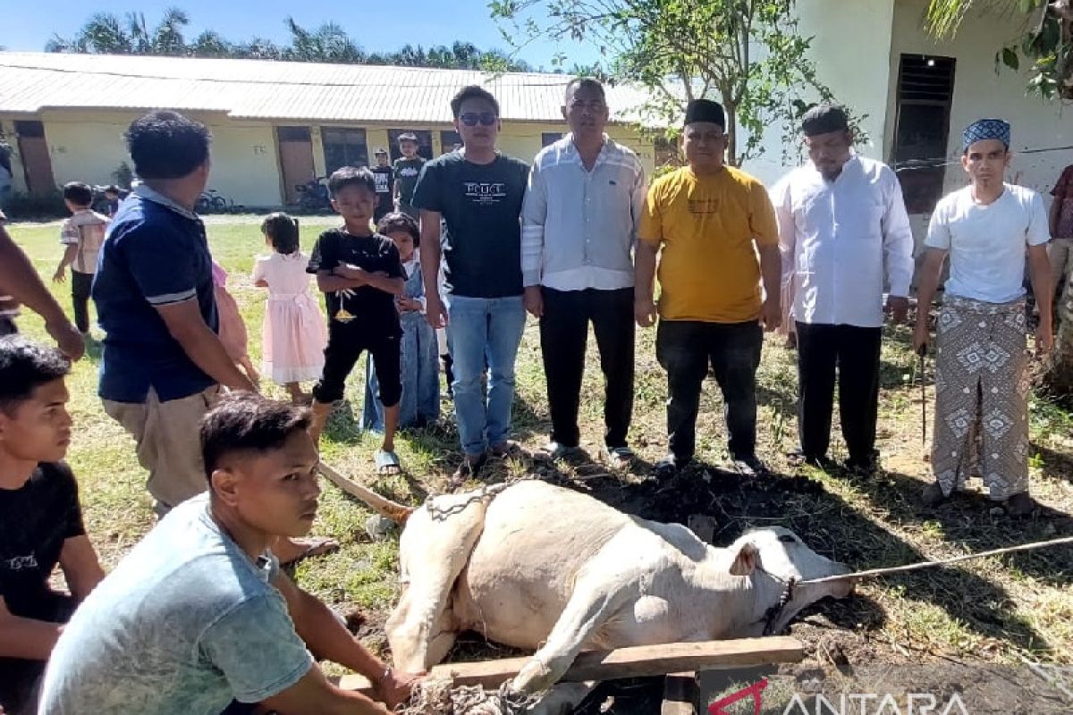 PT. MSB Palas sembelih sapi hewan kurban, dagingnya dibagikan ke masyarakat