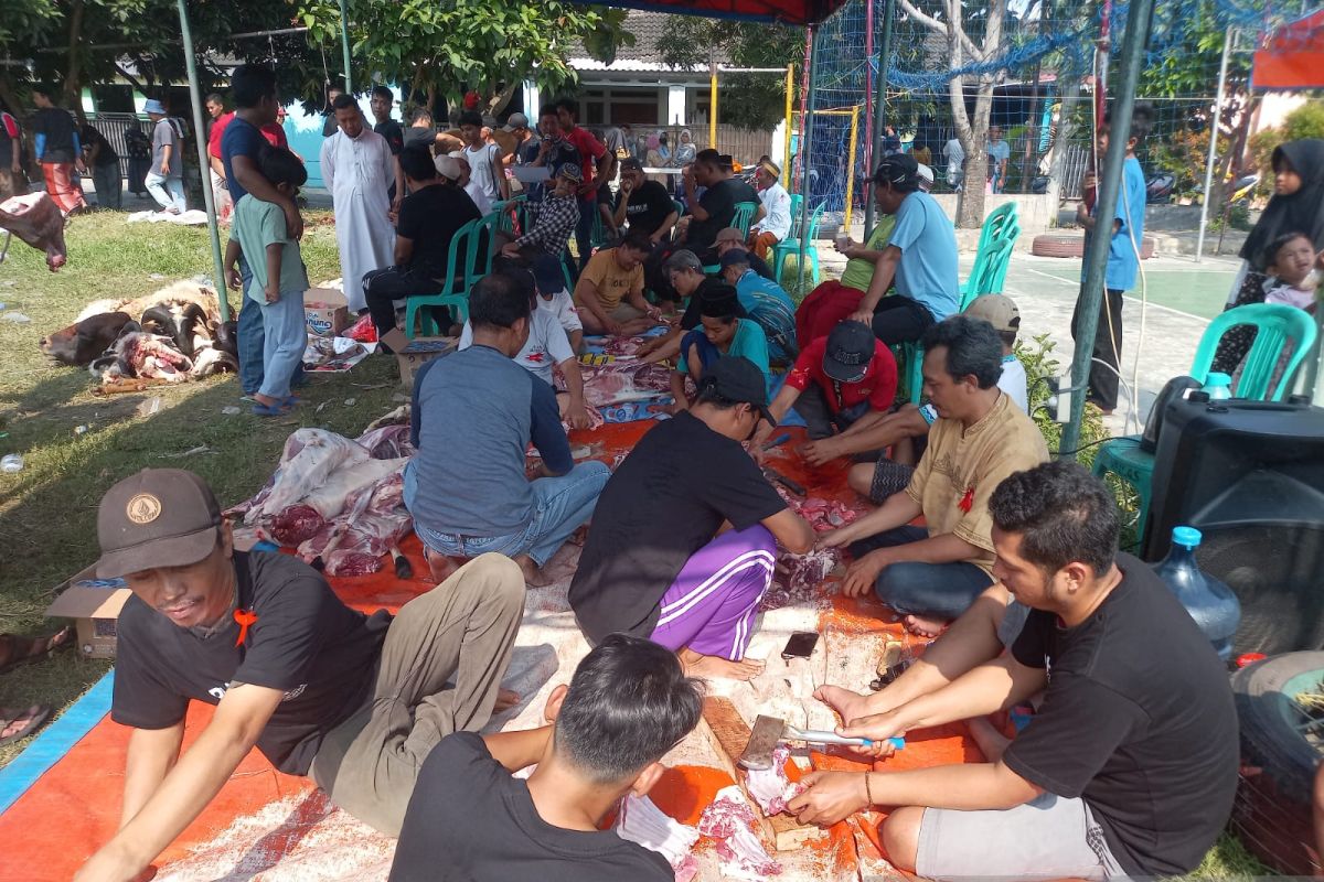 Masjid Al Ikhlas TMI 1 Kota Serang salurkan 700 kupon daging kurban