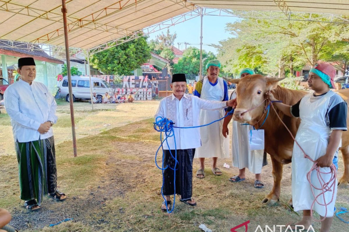 Pemkab Situbondo sembelih 16 ekor sapi kurban untuk 2.000 orang
