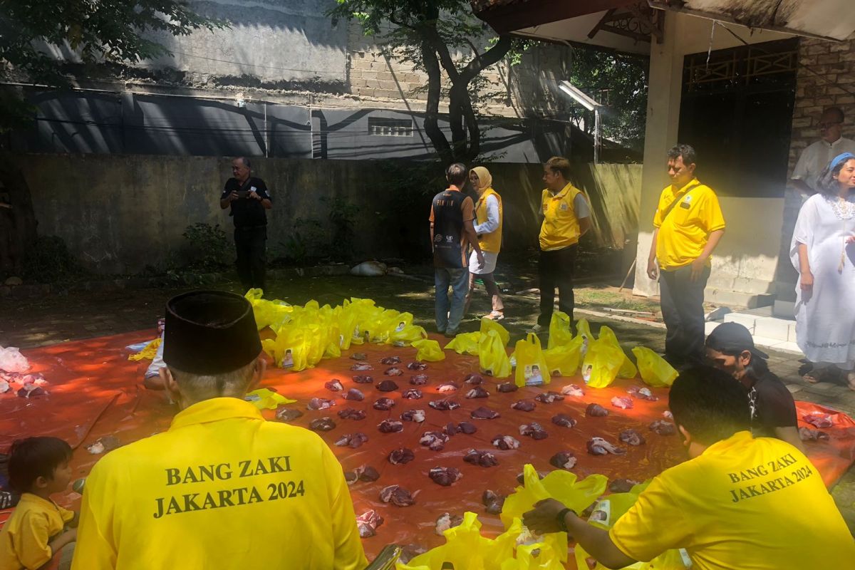 Potong 47 Sapi dan 72 Kambing, Golkar DKI Sebar Hewan Kurban sampai Kepulauan Seribu