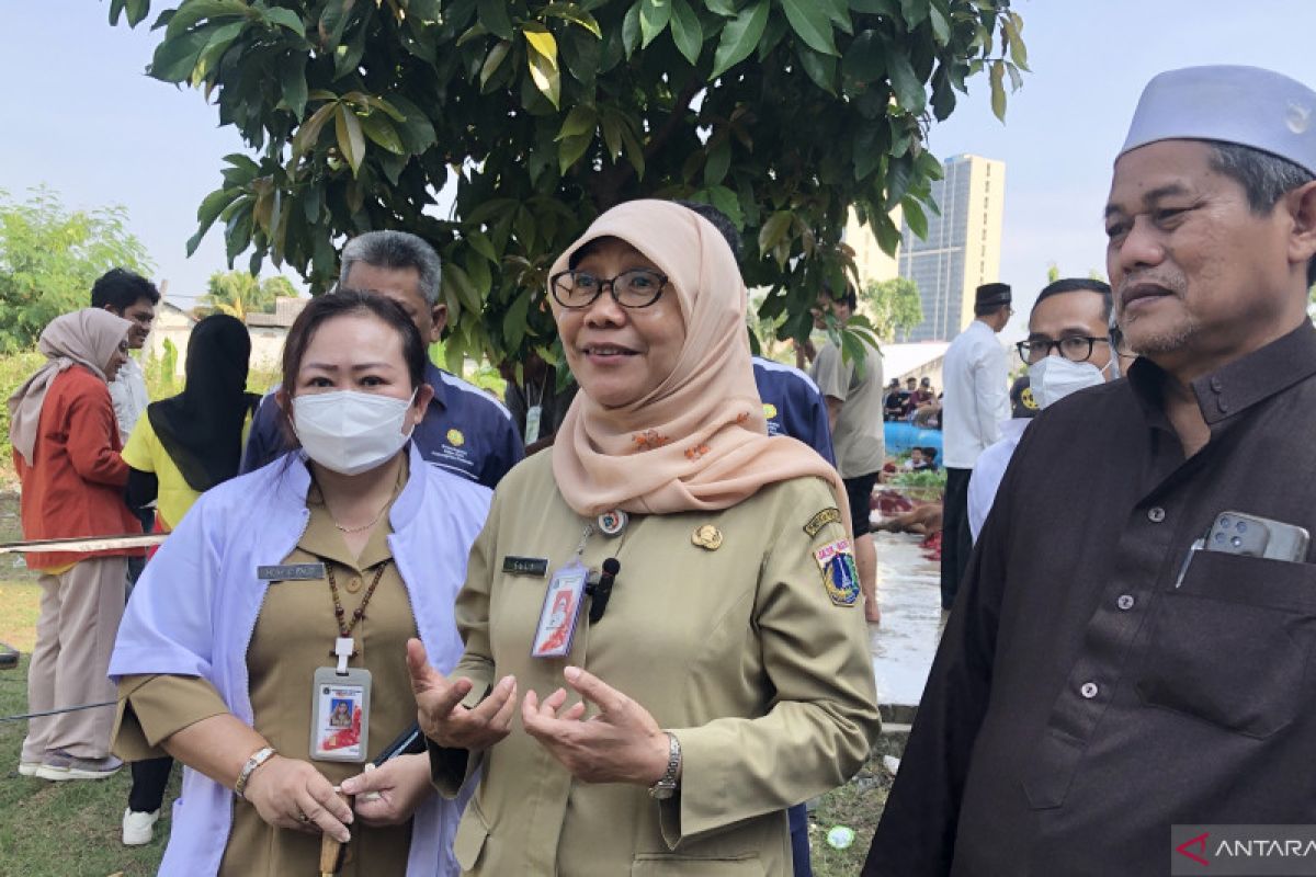 KPKP DKI Jakarta nilai hewan kurban Masjid Raya Hasyim Asy'ari penuhi syarat