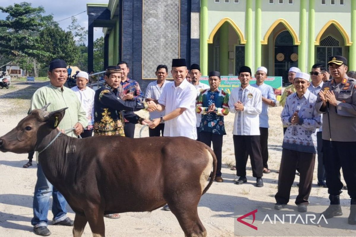 Pemkab Gunung Mas salurkan 26 ekor sapi kurban