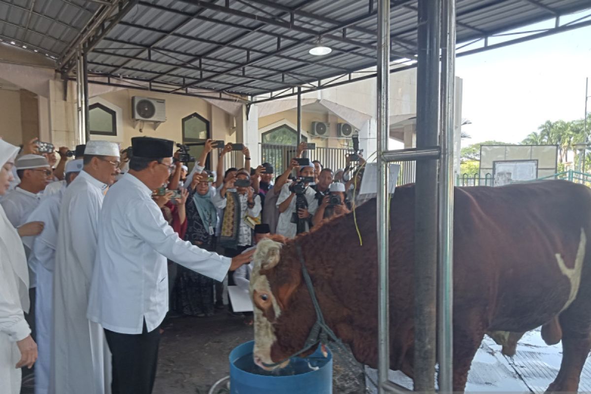 Jokowi sumbang sapi kurban ke Masjid Sabilal Muhtadin Banjarmasin