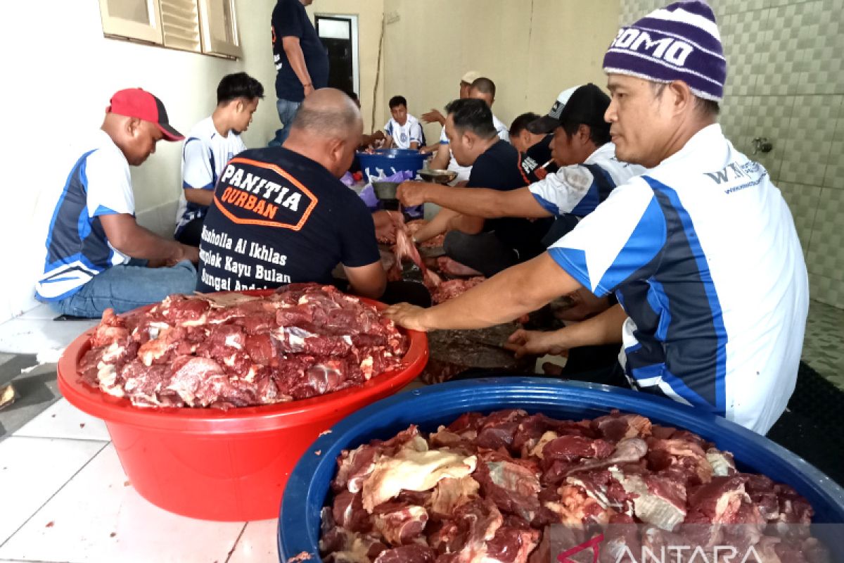 Warga Banjarmasin dilarang buang limbah hewan kurban ke sungai