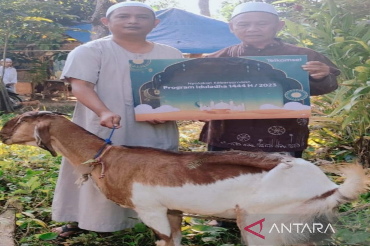 Telkomsel salurkan bantuan hewan kurban untuk 46 ribu orang