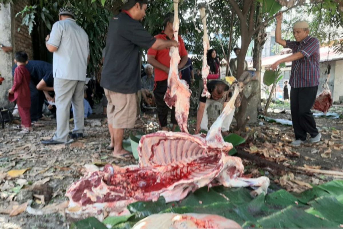 PASKOPA Medan sembelih enam ekor sapi dan satu kambing