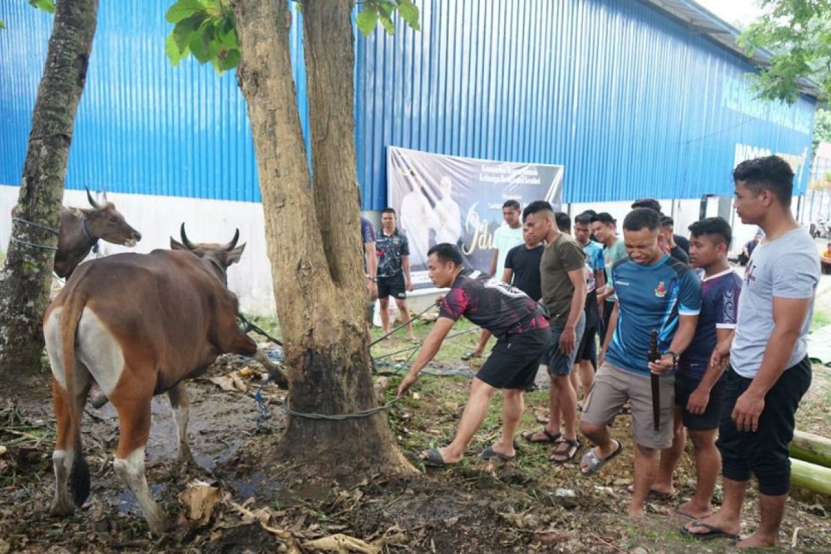 TNI AL Kendari sembelih 12 ekor sapi kurban saat Idul Adha 1444 H