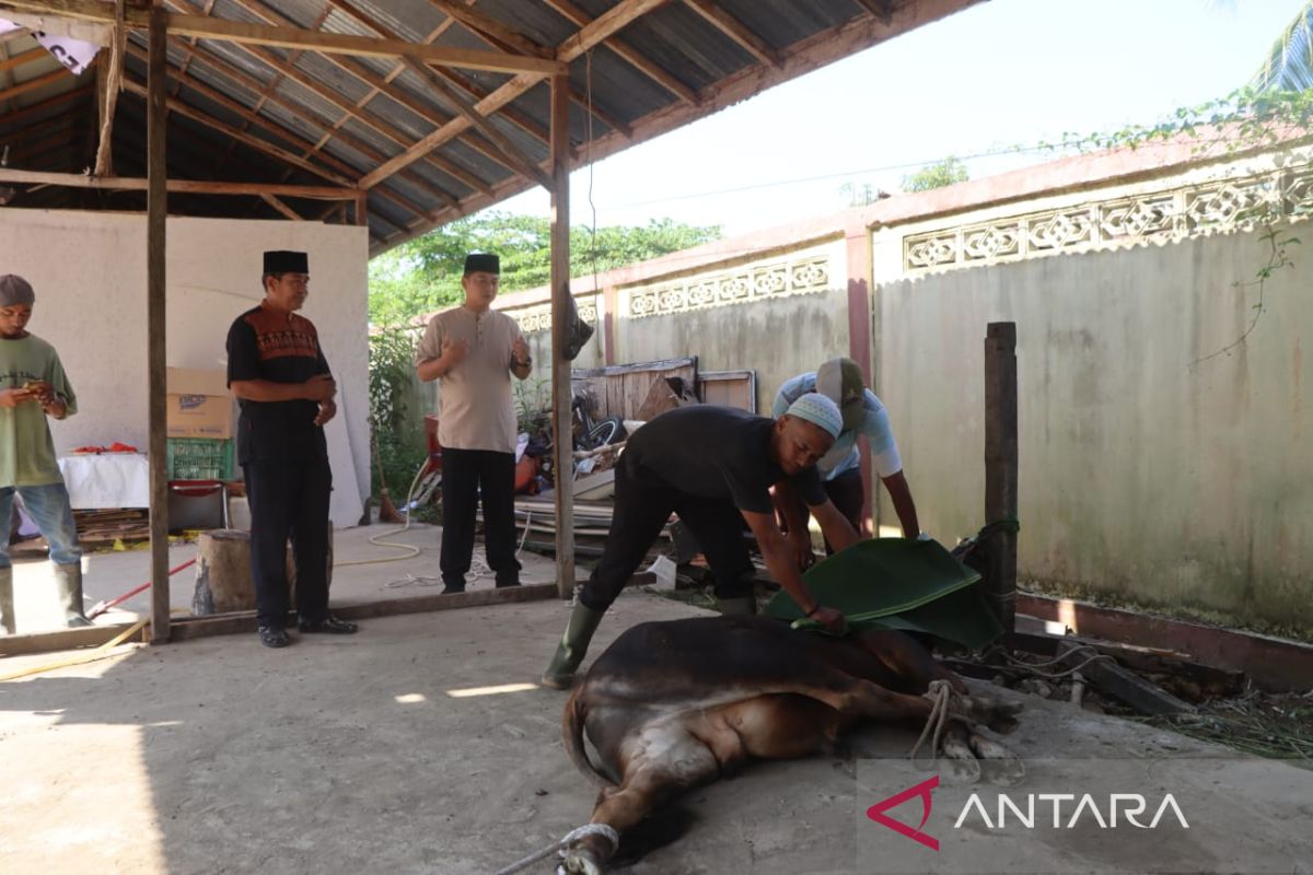 Polres Singkawang potong tujuh hewan kurban