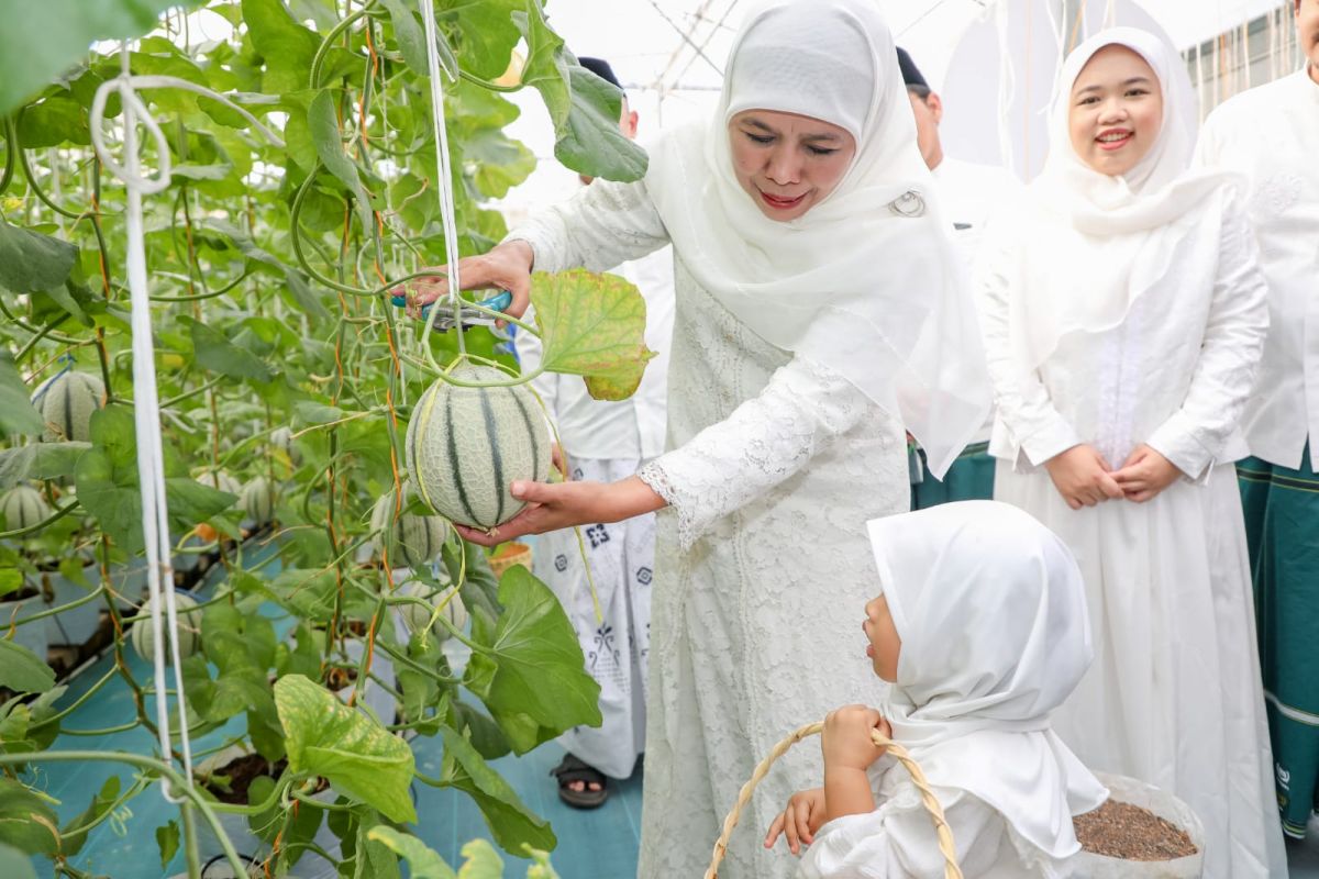 Khofifah: Green House Masjid Al Akbar Surabaya alternatif eduwisata
