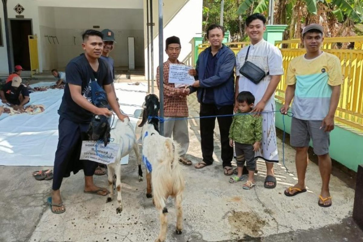 INKA Group salurkan hewan kurban untuk warga Madiun dan Banyuwangi