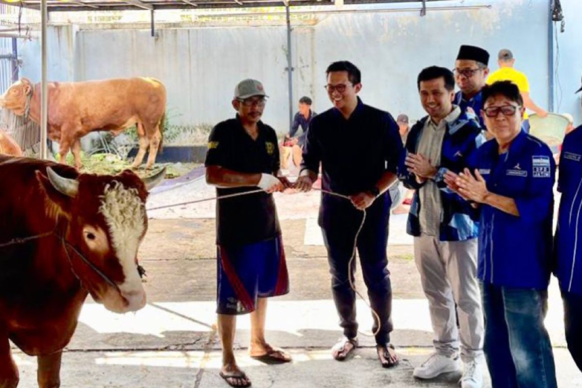 Kadin Surabaya: Idul Adha picu kebangkitan peternak lokal