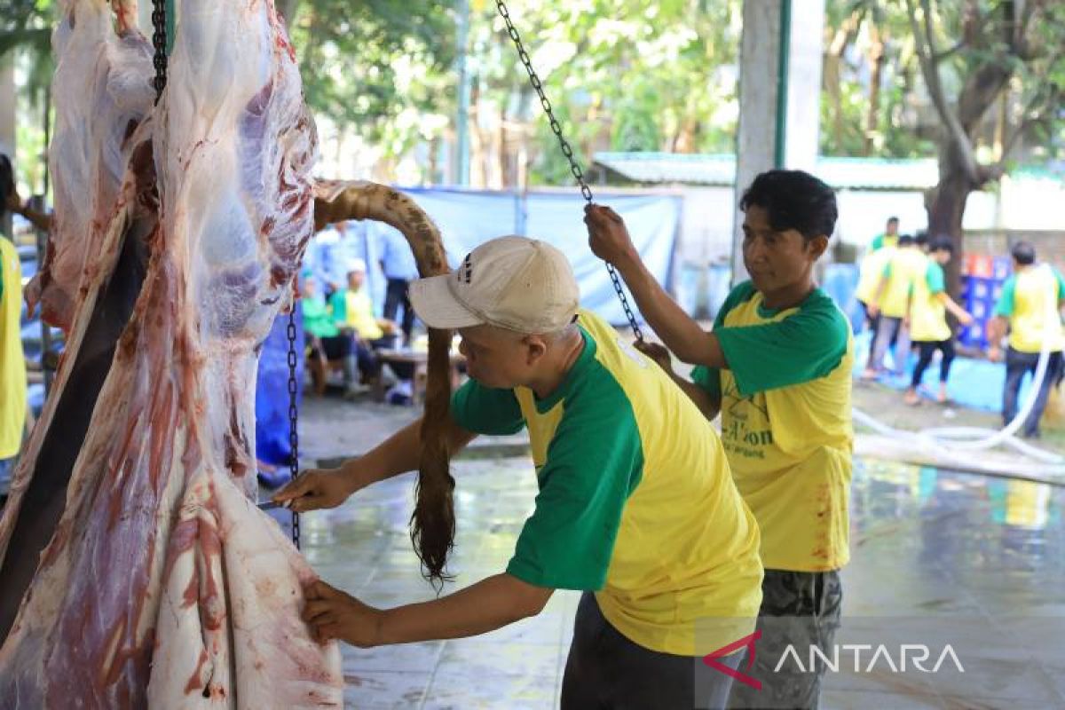 Hindari cemaran, limbah kurban di Tangerang tak dibuang sembarangan