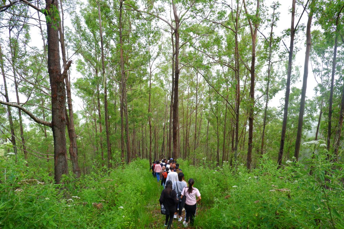 Menembus kabut menuju Kebun Raya Wolobobo di Ngada NTT