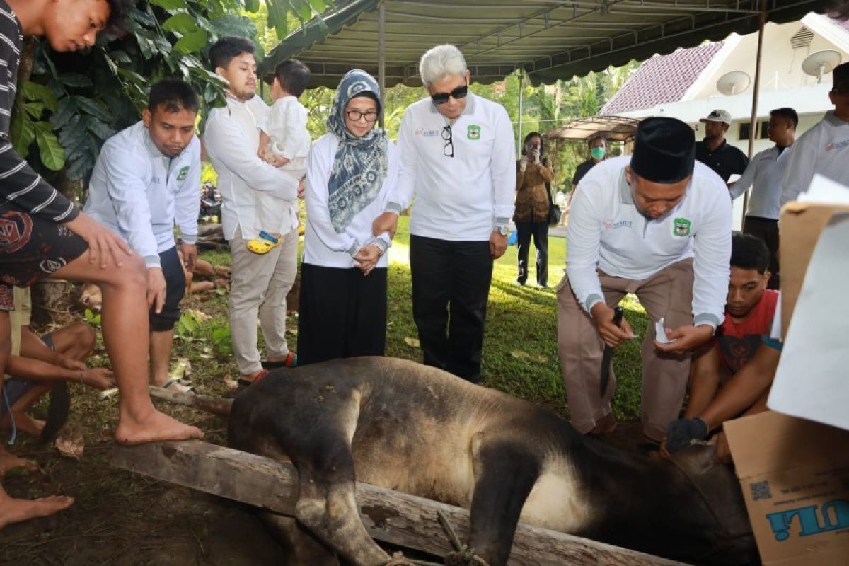 Pemkot Pematang Siantar kurban sembilan ekor sapi