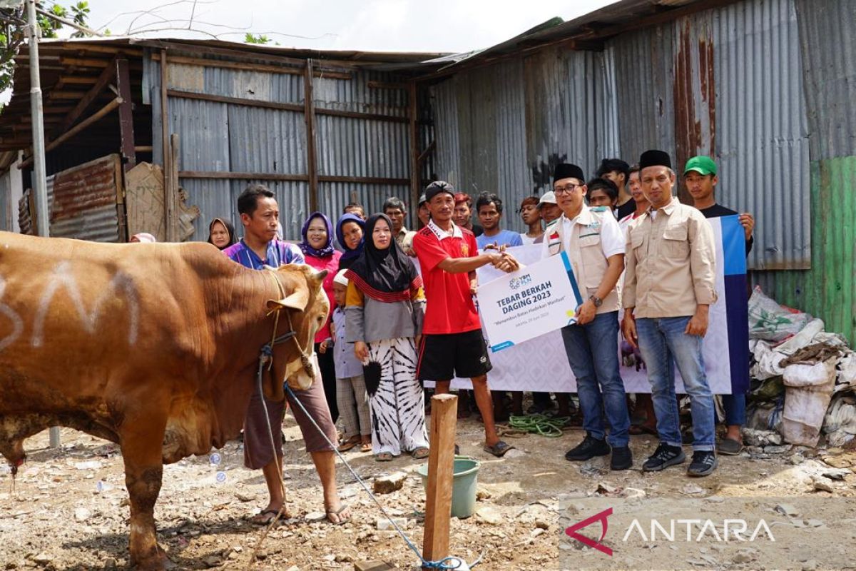 Idul Adha-YBM PLN salurkan 1.444 hewan kurban Ke seluruh Indonesia