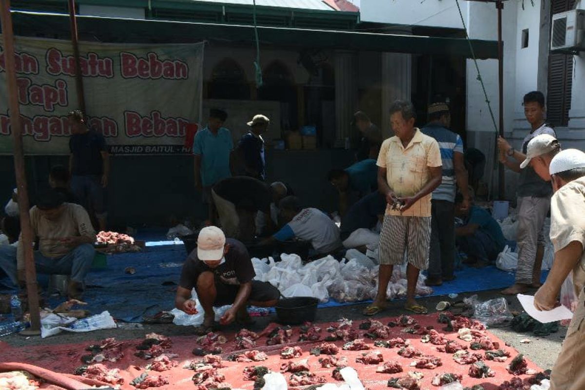 PN  Medan sembelih enam ekor hewan kurban