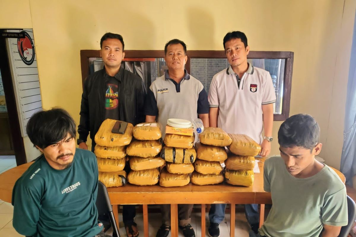 Polisi tangkap dua pemuda pengedar ganja 19 kilogram di Bukittinggi