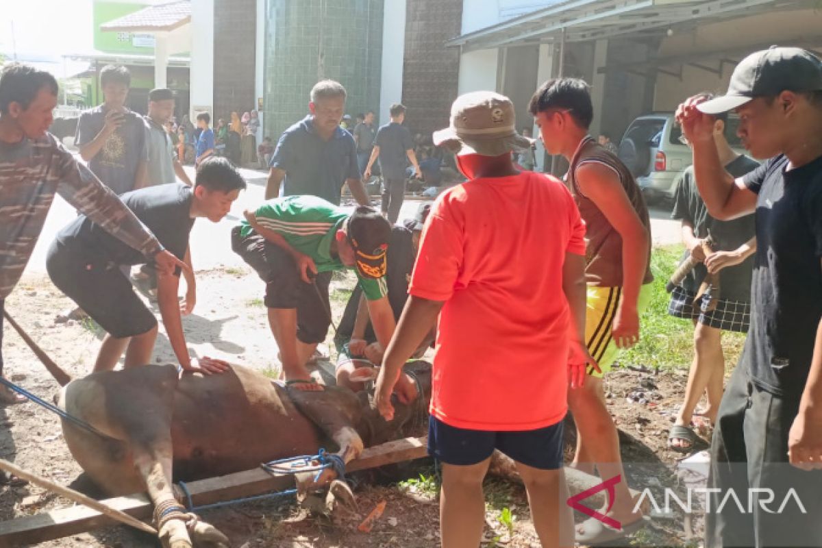 LDII Banjarmasin tebar 6.500 bungkus daging kurban ke masyarakat
