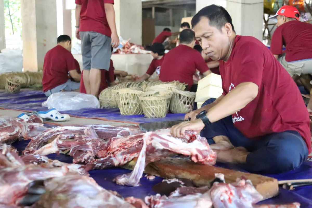 Pemkot Jaksel bagikan daging hewan kurban kepada PJLP