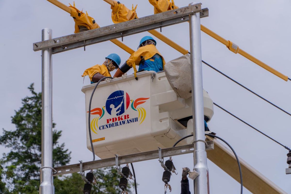 PLN miliki tiga tim pekerjaan dalam keadaan bertegangan di Papua