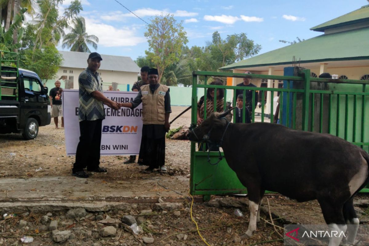 BSKDN Kemendagri gelar pemotongan hewan kurban di perbatasan Indonesia