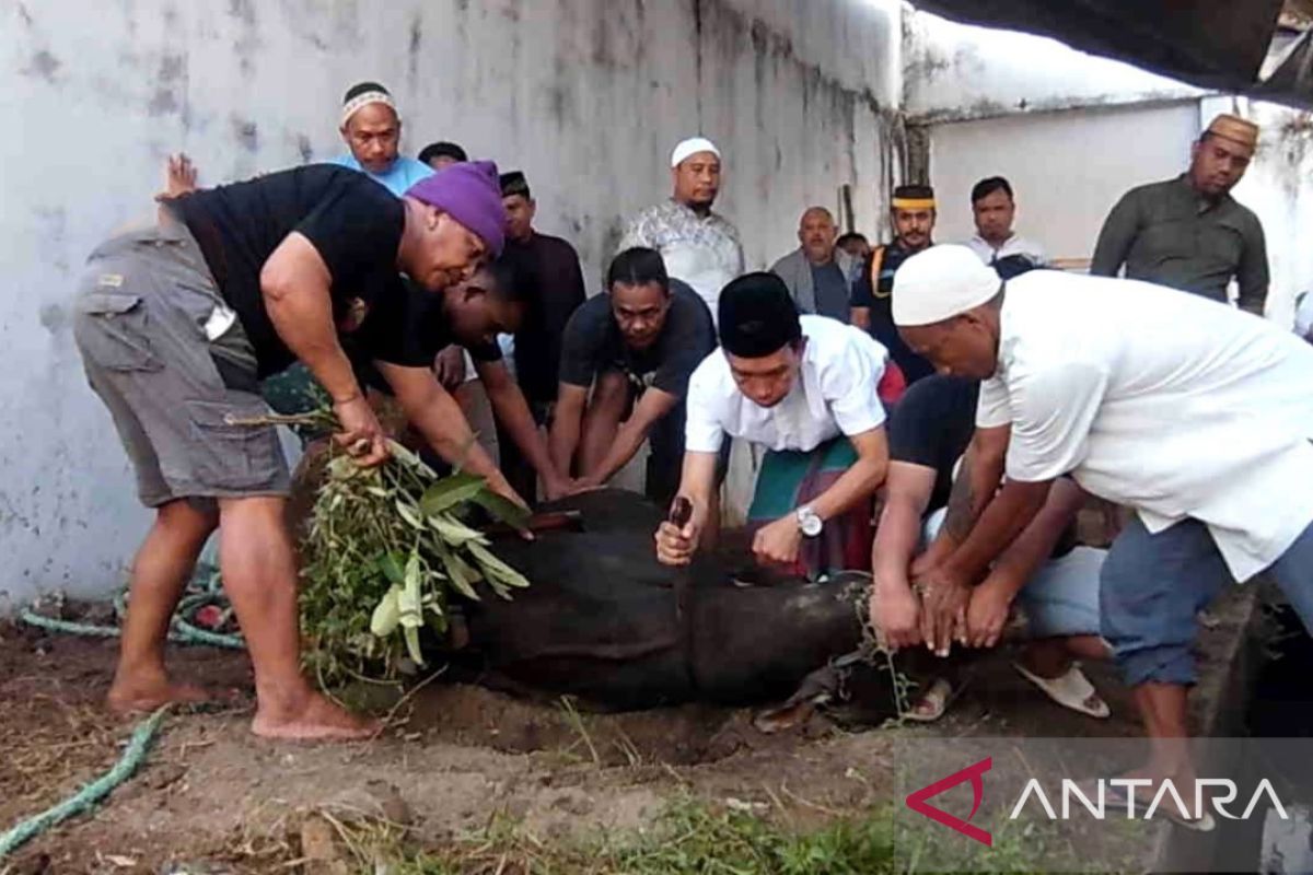 Lapas Gorontalo menyembelih kurban untuk warga binaan