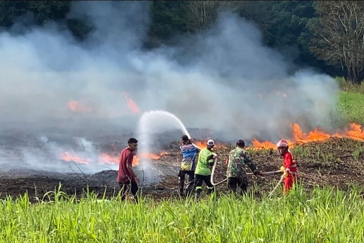 BPBD catat 56 kasus  kebakaran hutan dan lahan di Palangka Raya