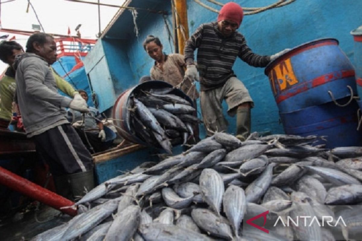 Pemkab Bombana dorong nelayan tingkatkan produksi hasil tangkap