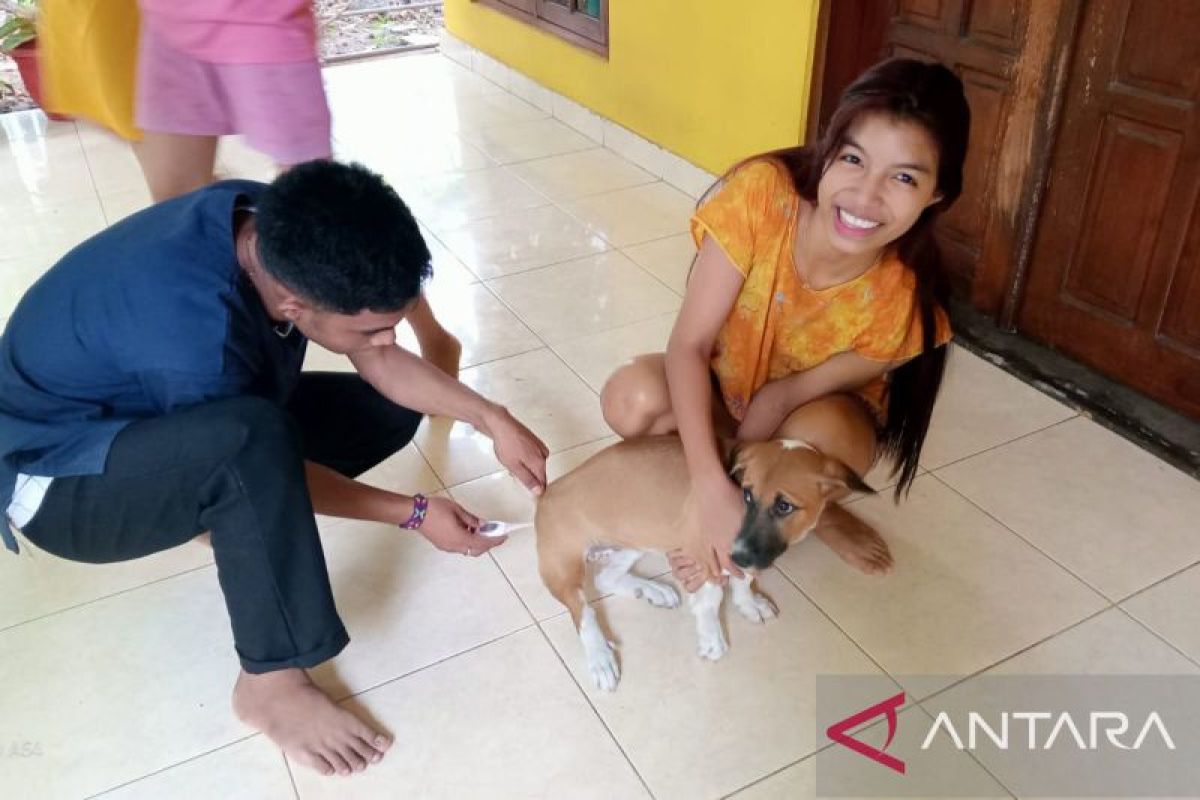 Seorang bocah tujuh tahun meninggal dunia setelah digigit anjing