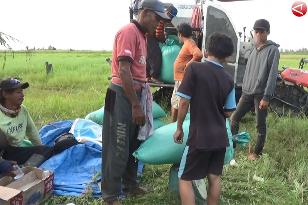 DPRD Seruyan: Akses jalan pertanian di Desa Danau Sembuluh butuh perhatian