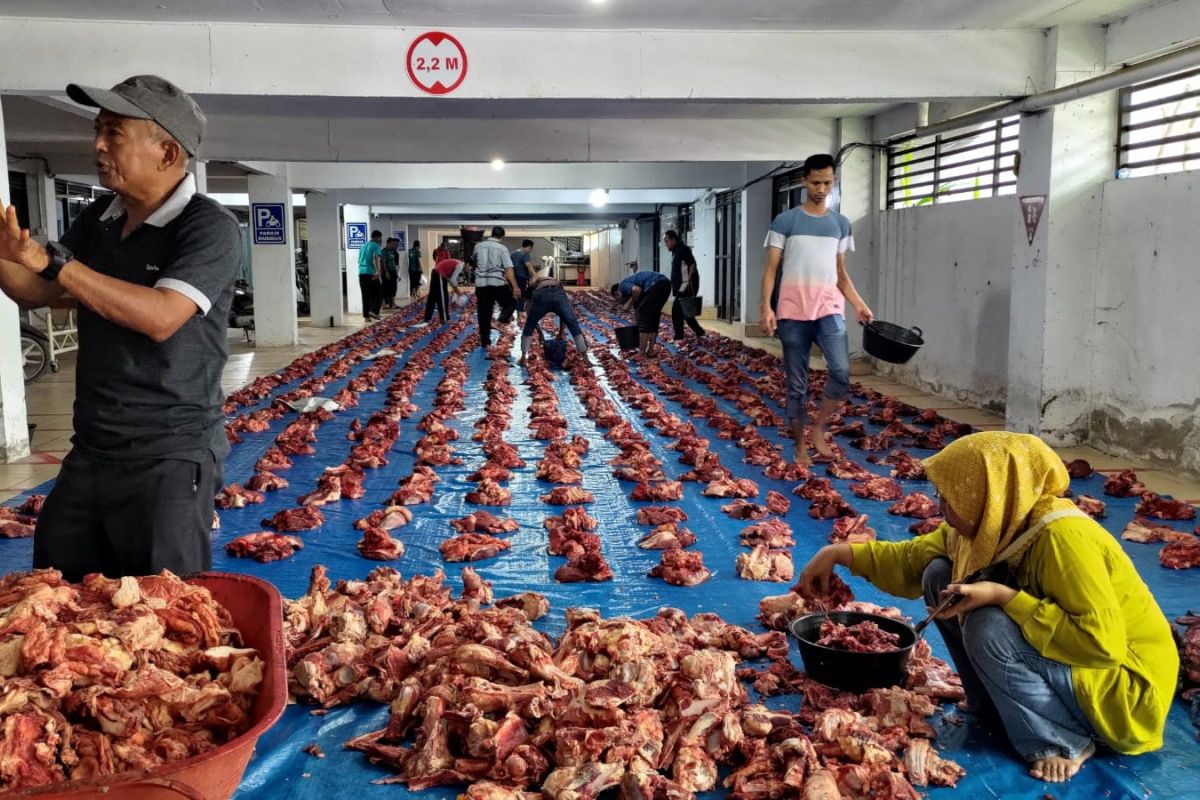 PLN UID Aceh potong 47 ekor sapi kurban