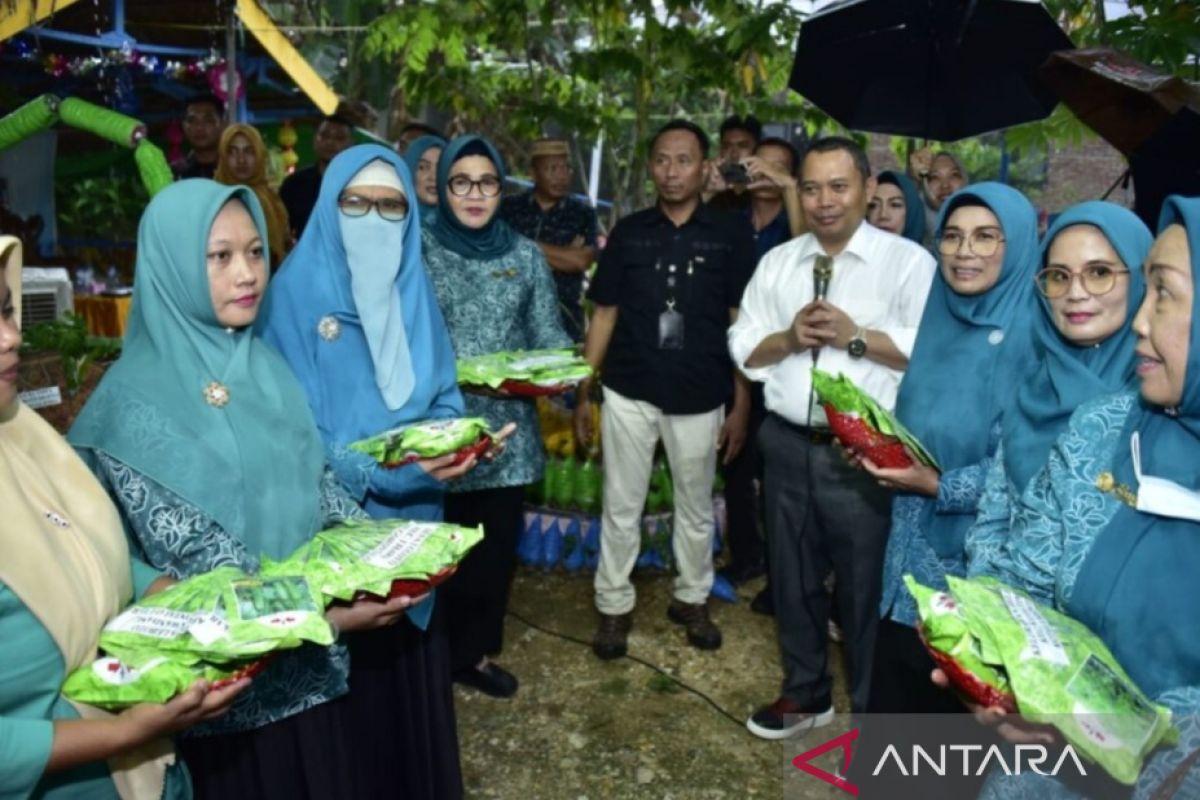 Gubernur Gorontalo imbau warga gunakan pekarangan kosong tanam cabai