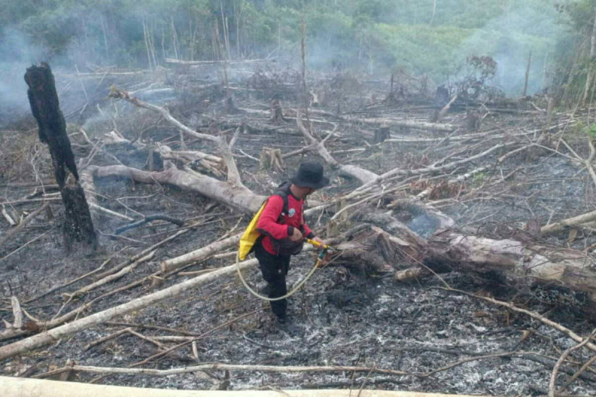 Sebanyak 26 titik panas terdeteksi di Kaltim