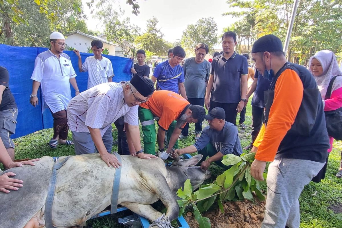 Idul Adha 1444 H, karyawan RAPP potong 150 hewan kurban